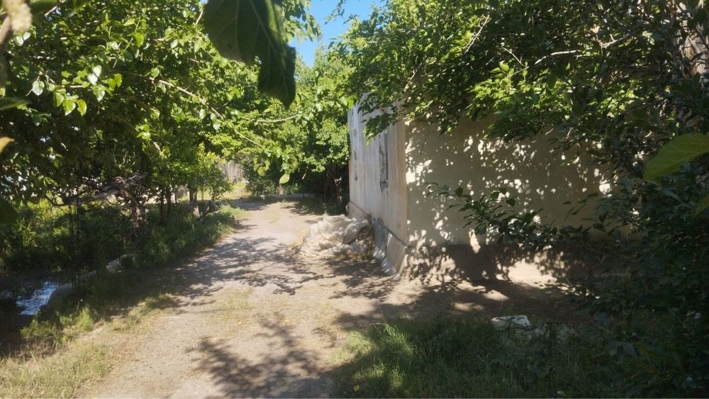 Biznes uchun Noturar Yer Bino Dacha Sotiladi