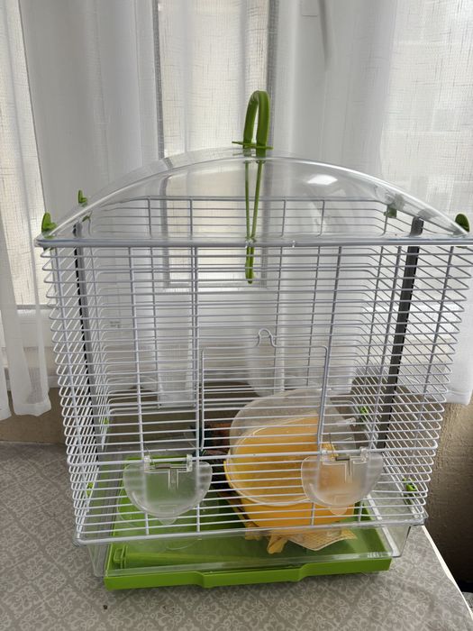 Colivie pentru papagali + accesorii