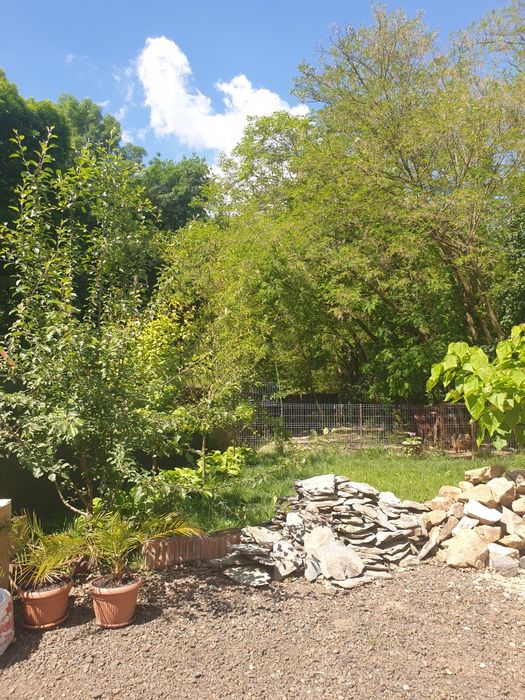 Casa Giroc Padure direct de la proprietar Giroc • OLX.ro