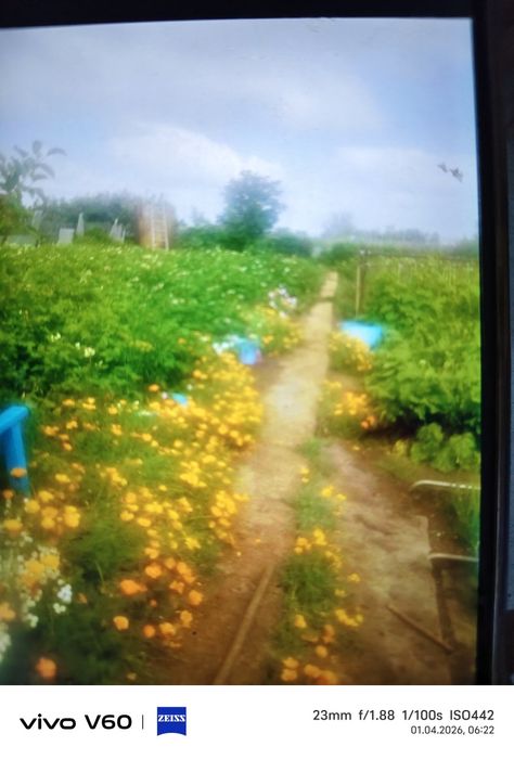 Продам дачу общество Каучук