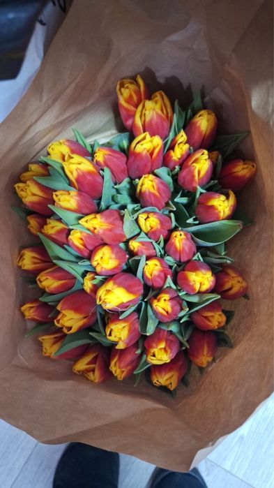 Продам тюльпаны Темиртау