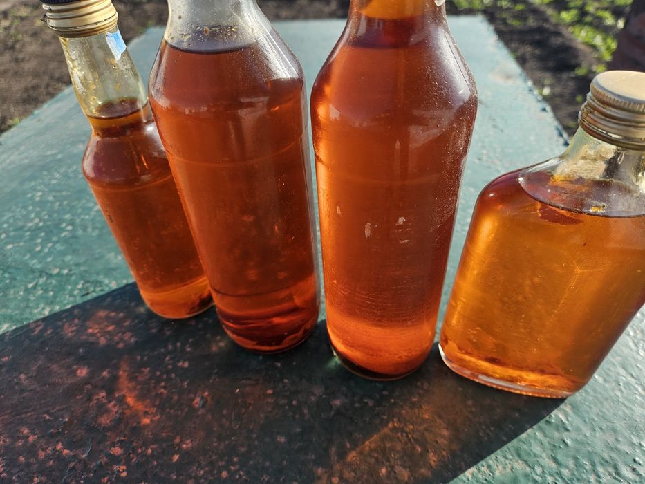 Масло облипихохвое