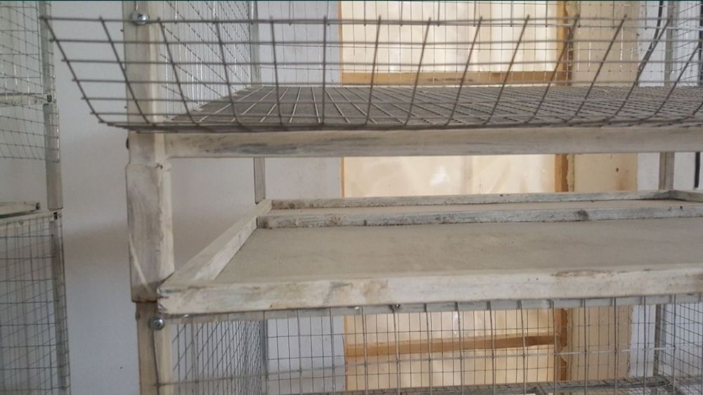 Клетки новые для кур.