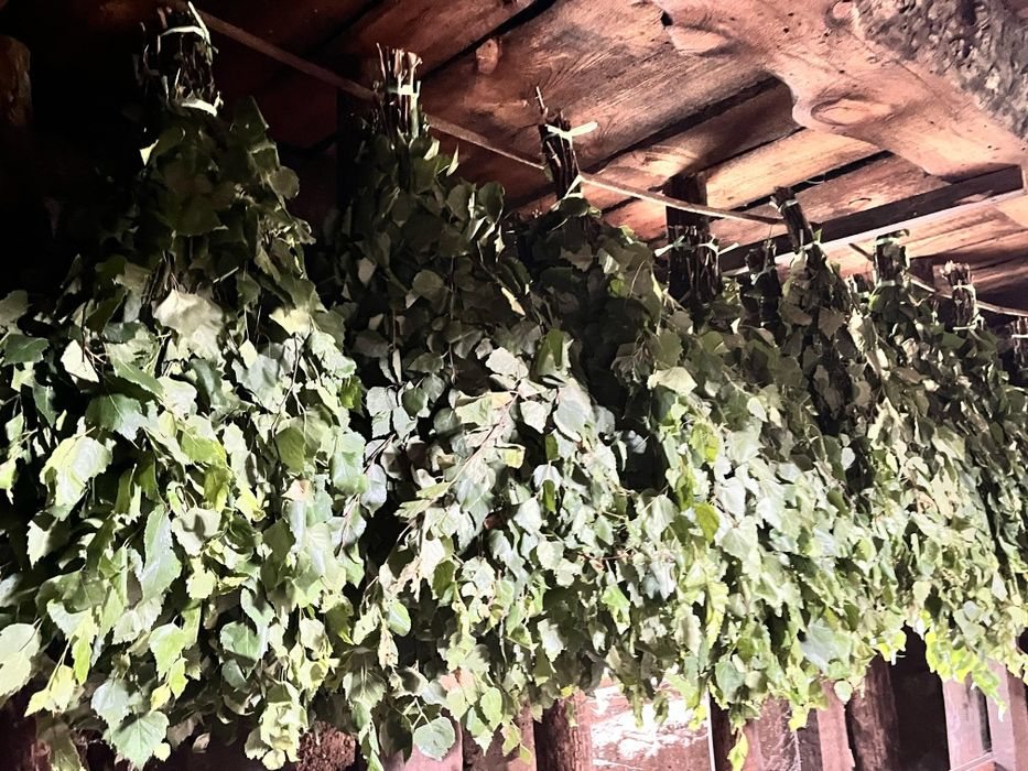 Продам веники березовые