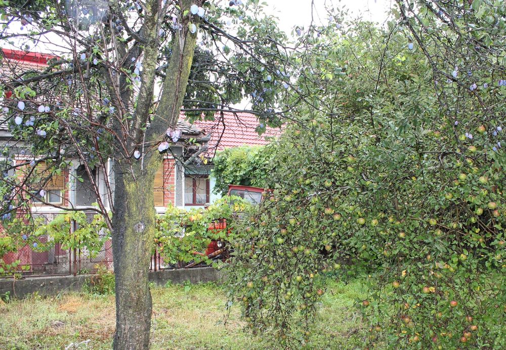 Casa in  Sinca noua