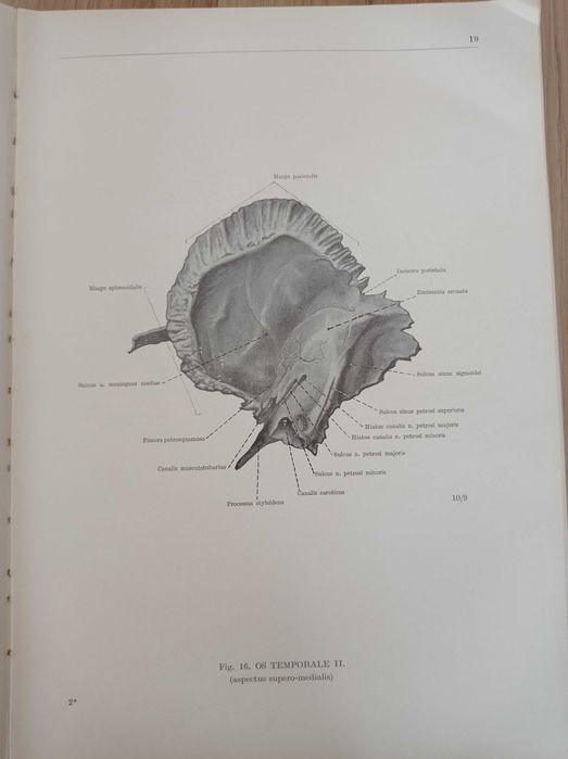 Анатомически атлас