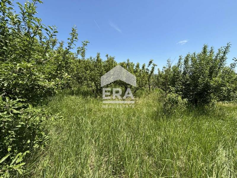 Продава се Парцел в с. Кривини, Област Варна - 967 кв.м за 26 €/кв.м - Снимка #5