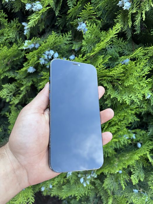 Iphone 12 pro max