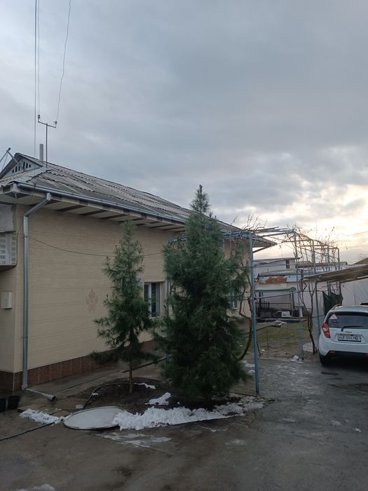 Hovli sergeli tumanida