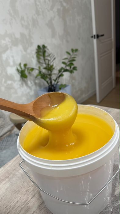 МЁД натуральный Катон-Карагай