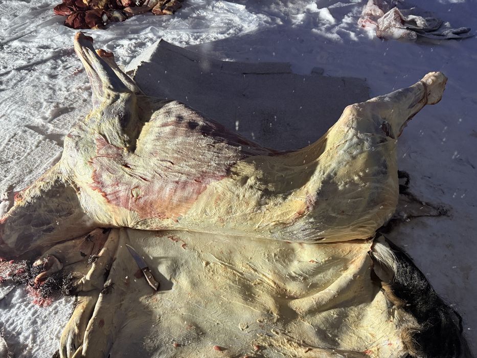 Жабагы сатылады