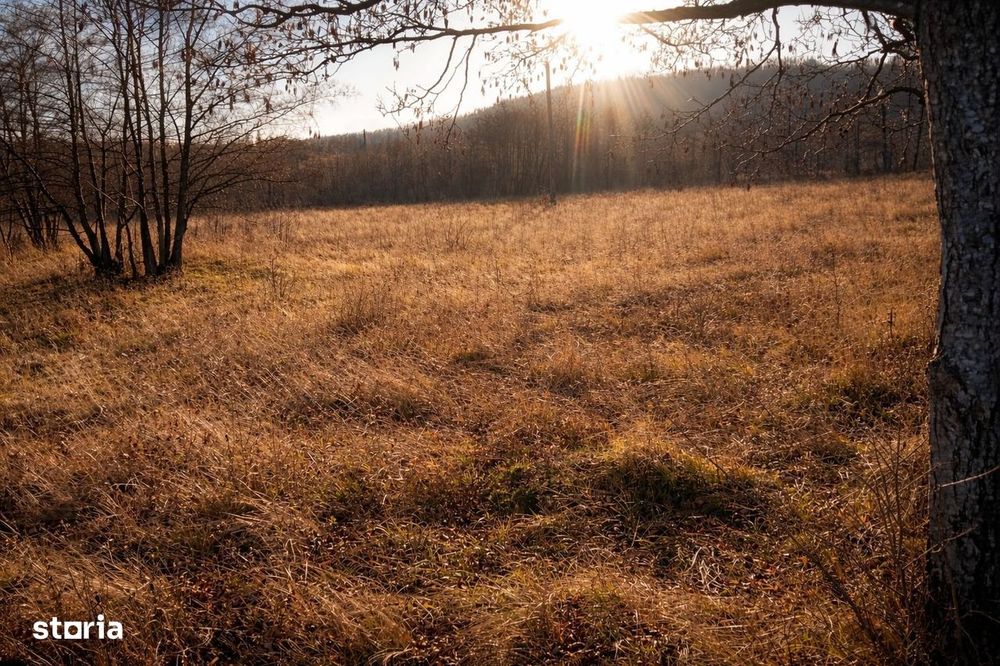 Teren extravilan | Vicovu de Jos | Preț 25.000