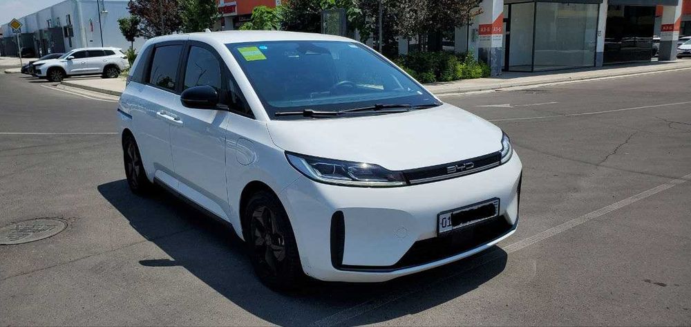 BYD D1 (EV 419KM)