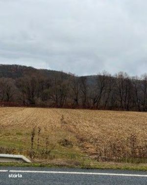 Teren extravilan arabil Baia de Cris, Hunedoara - 3070972