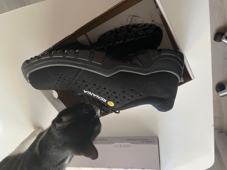 Pantofi lucru Renania 40