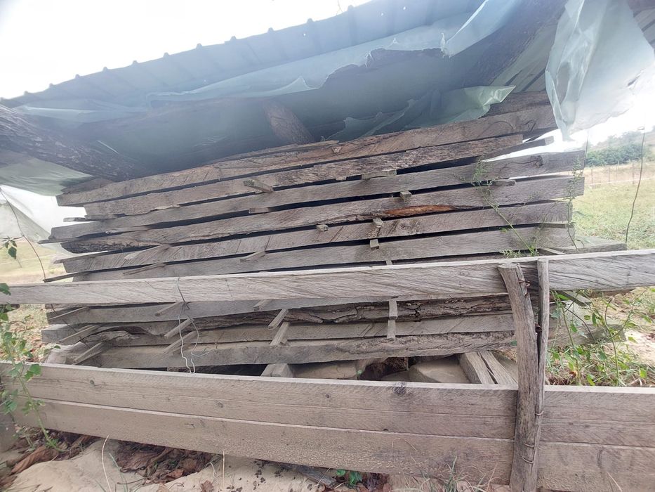 Poștă/scandura stejar grosime 7 cm