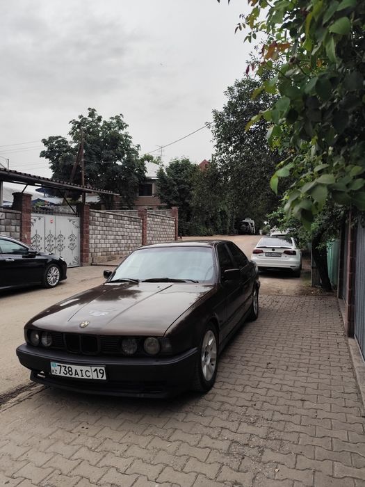 BMW e 34. Объем 2,5