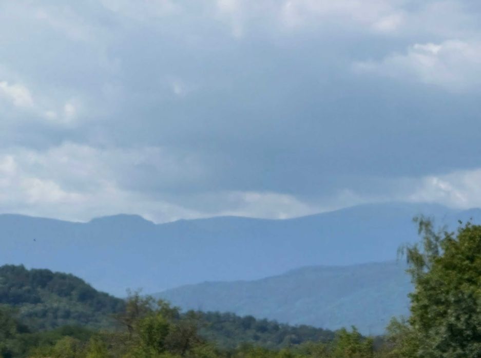 Вила с двор 3 дка ,Севлиевски лозя