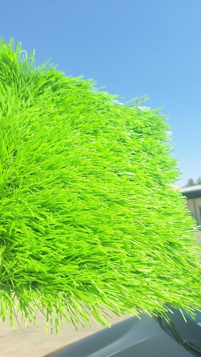 Искусственный  газон в  Узбекистане