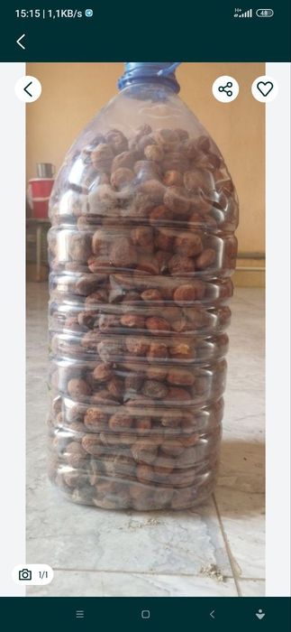 КурСодик(Субхони) гулин сотилади нархи 20 минг