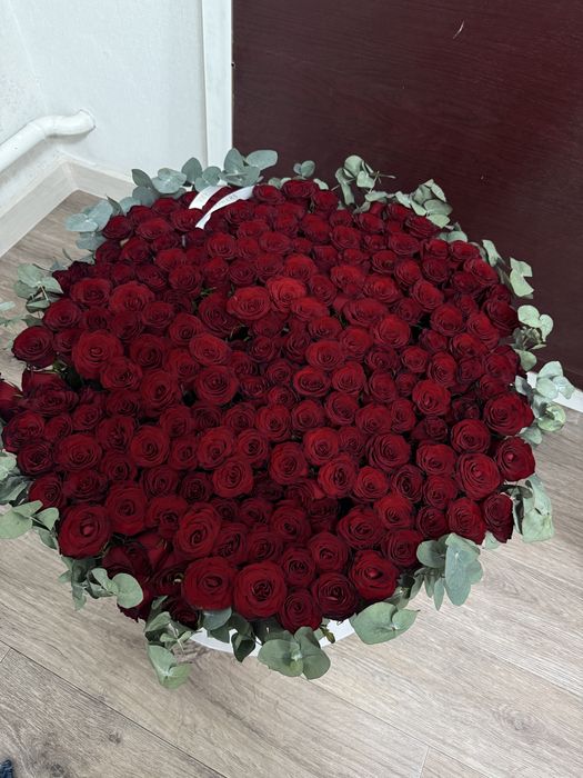 Цветы роза 151 роза
