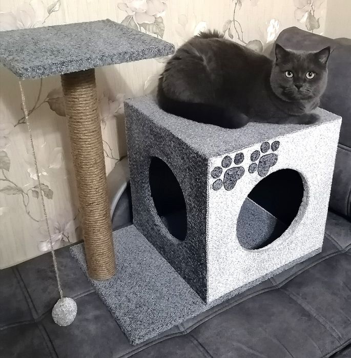 Когтеточки и домики для ваших питомцев