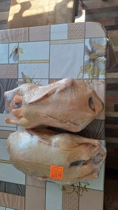 Продам мясо утки