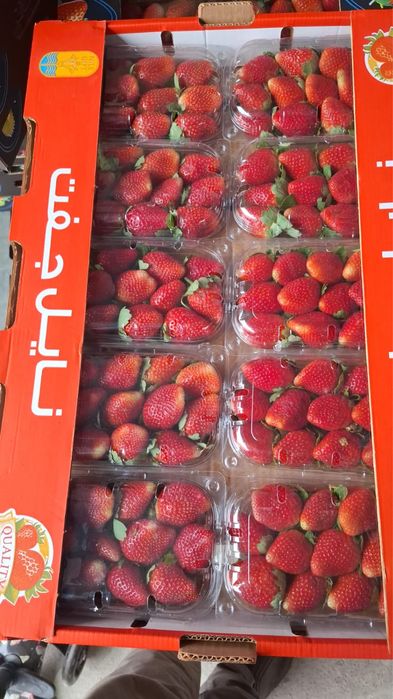 Клубника свежая Египет