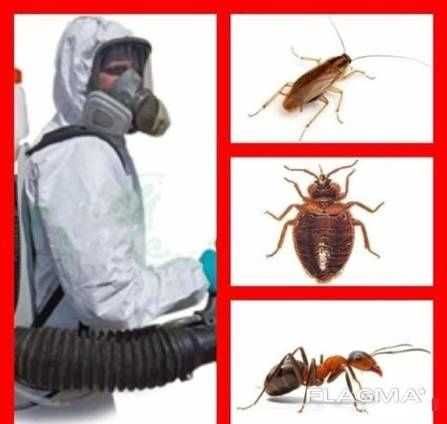 Обработка Дезинфекция/ Дизинфекция/ (Dizinfeksiya Dezinfeksiya)