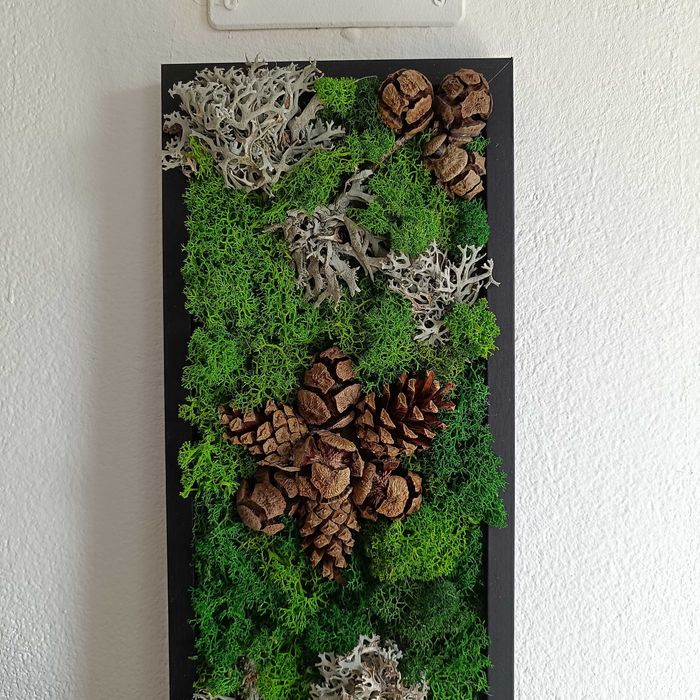 Ръчно изработени картини от скандинавски мъх и естествени материали