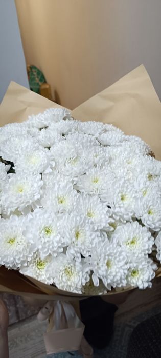 Цветы. Срочно  продам