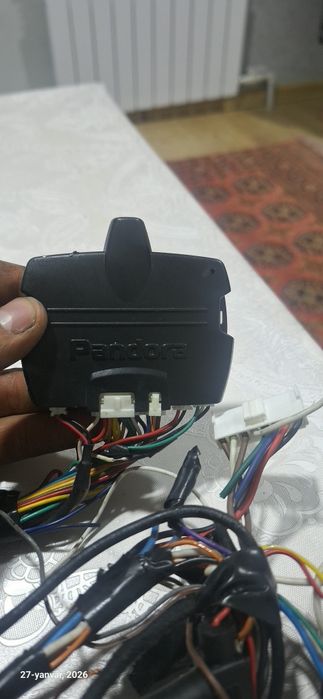 Pandora orginal signalizatsiya