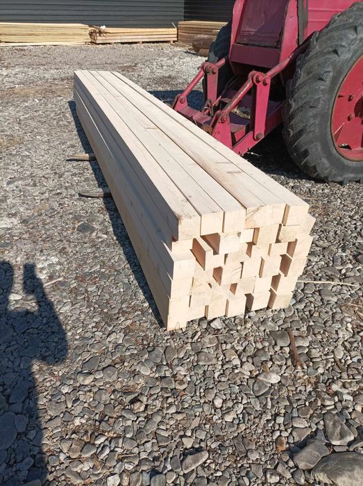 Cherestea constructi