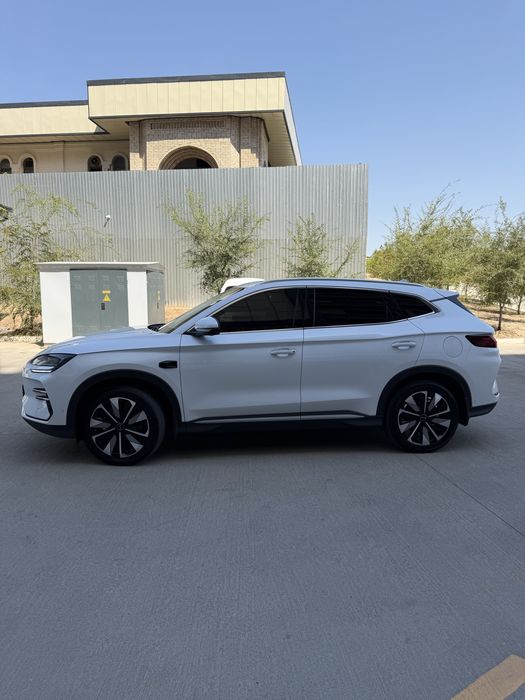BYD Champion Smart Drive
