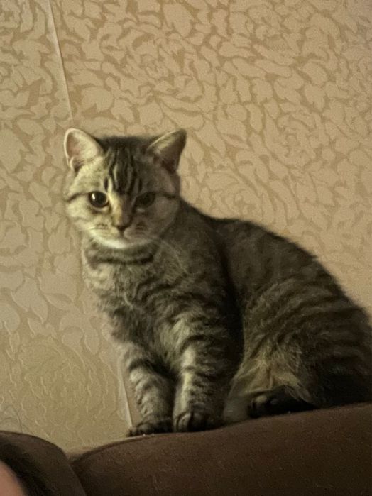 В хорошие , добрые руки