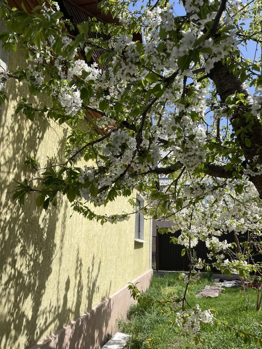 Недвижимость в бесагаше