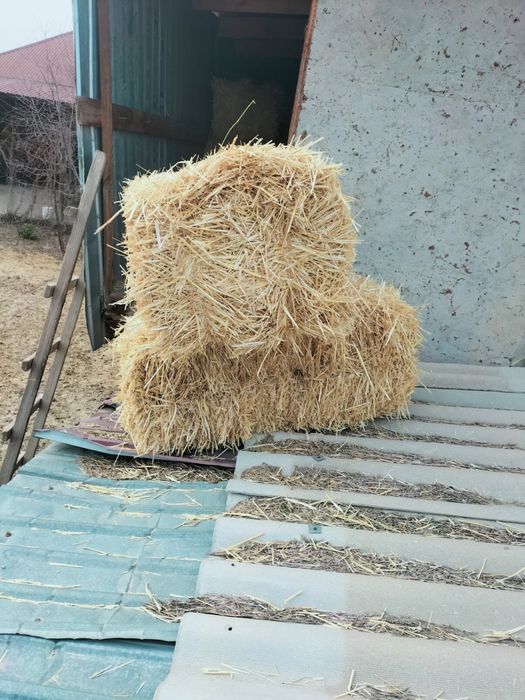 Жоңышқа Шөп Сабан Прес