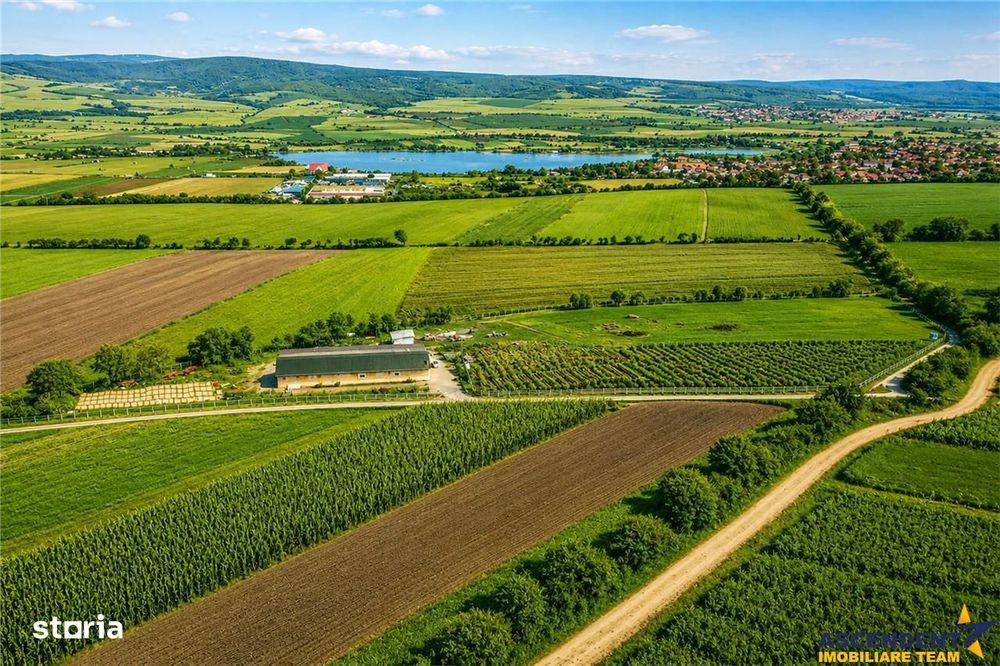 FILM! 18.000 mp, extravilan, agricol+ constructii:ferma,investitii agr