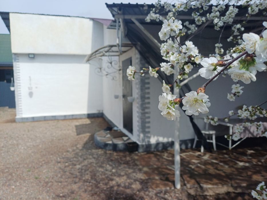 Продам дом в с.Айтей