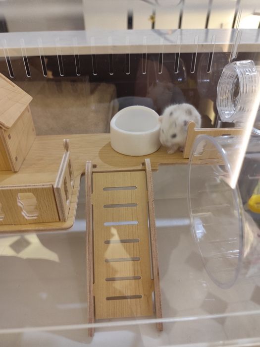 клетка для хомяка