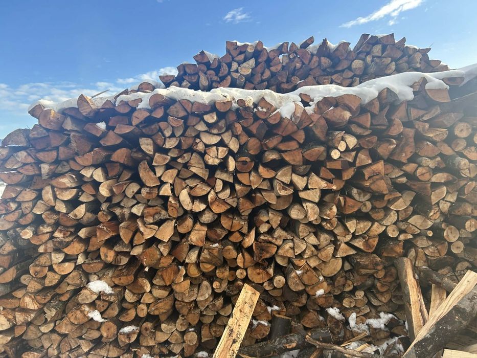 Vand lemne de foc fag