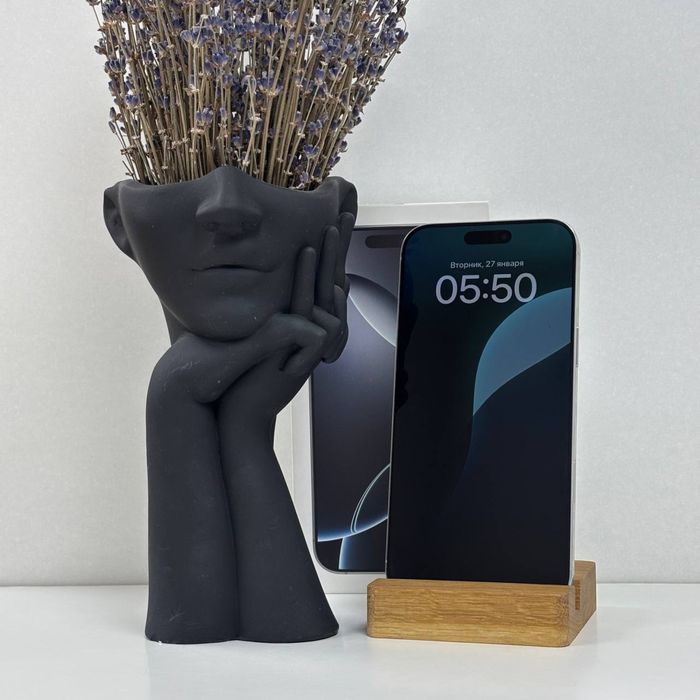 iPhone 16 Pro Max, 256гб