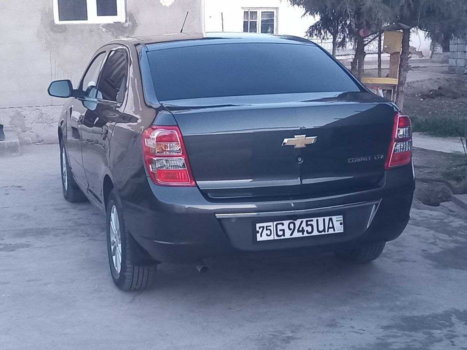 Holati zo`r kraska tozza 100%