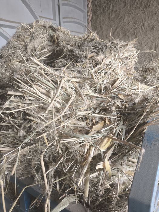 Макка билан камиш пресс