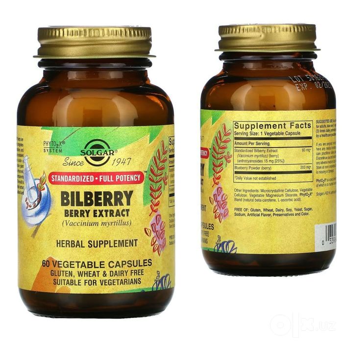 Solgar Bilberry Berry Extract- Экстракт ягод черники - это БАД для под