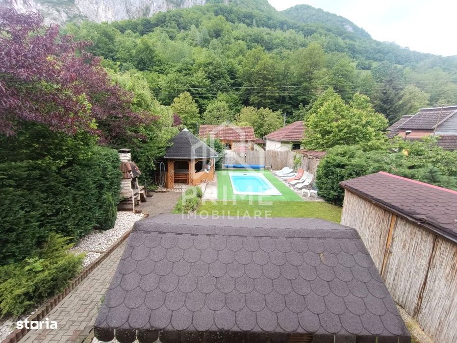 Casa | Cabana premium in Ramet | Piscina | Afacere la cheie | Valea Ma