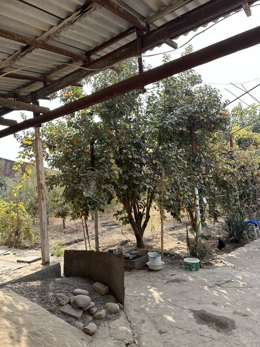 Дачный участок 9.6 соток