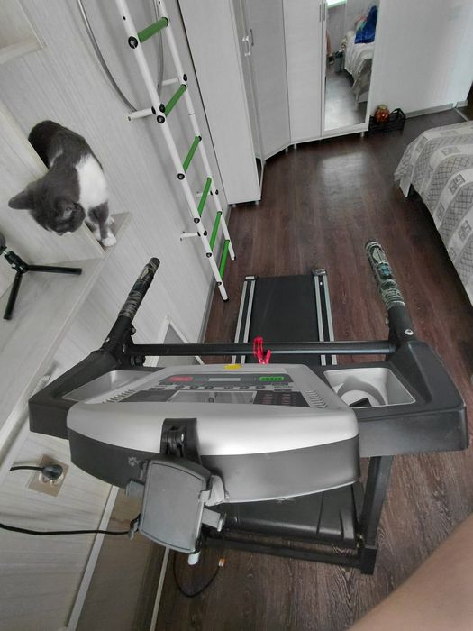 Беговая дорожка.