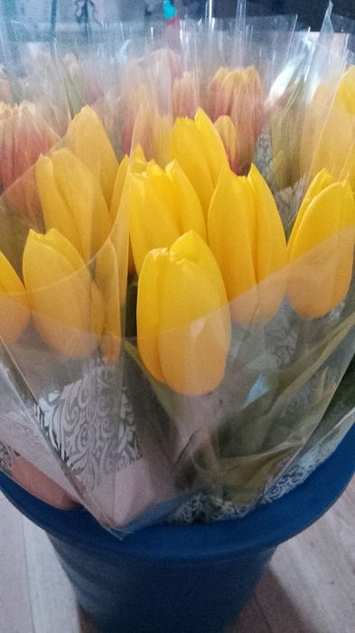 Тюльпаны к 8-му Марта