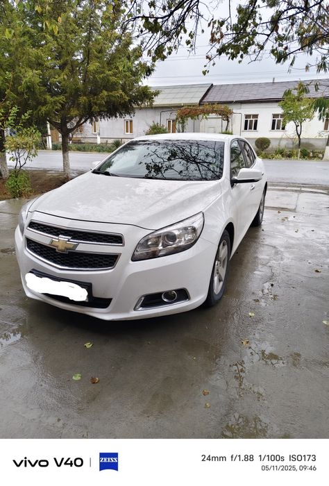 Malebu 1 2 pazitsiya kiraska toza